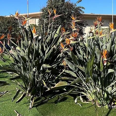 T3 Rte Des Sanguinaires