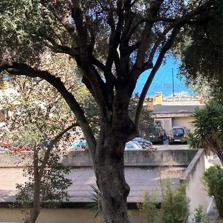 T3 Rte Des Sanguinaires *