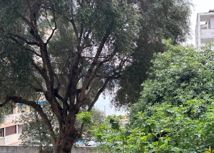 T3 Rte Des Sanguinaires Apartment *