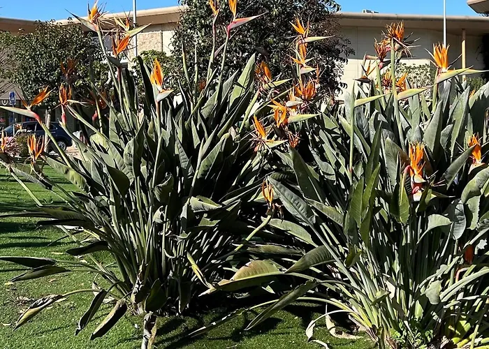 T3 Rte Des Sanguinaires